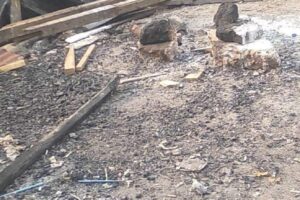 lokasi tempat penadahan Crude palm oil (CPO) di desa Pulau semambu