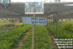 Kelompok Tani P3A Mandau Baru: KBR Salah Satu Upaya Pemulihan Hutan Kritis