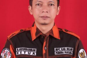 Ini Tanggapan Beberapa Ormas Terkait Pengunaan Kayu