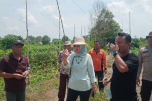 Ketua Ormas P3S Mengambil Jalan Hukum Perusakan Jalan Warga Menggunakan Excavator