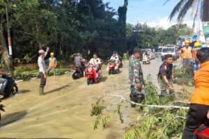 Sigap Koramil 1002-06/Barabai Bersama BPBD Kab.HST dan PLN Up3 Barabai Bersihkan Pohon Tumbang