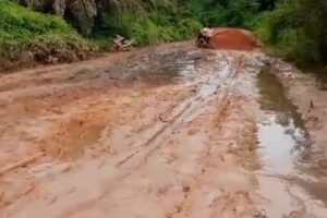 Jalan Rusak Di Desa Sekoban Kabupaten Lamandau Kalimantan Tengah.