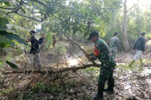 Dongkrak Hasil Pertanian, Koramil 1002-06/Barabai Gotong Royong Normalisasi Aliran Irigasi