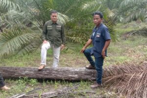 Eskalasi Konflik: Warga Dusun Merangin Tolak Kehadiran Alat Berat PT. CUS