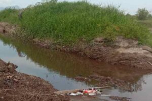 Krisis Air Bersih di Lubuk Batu: Warga Teriak Keluhkan Pencemaran Sungai oleh PT. CUS