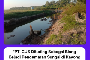 “Pencemaran Air di Kayong Utara: Warga Lubuk Batu Desak Pemerintah Bertindak”
