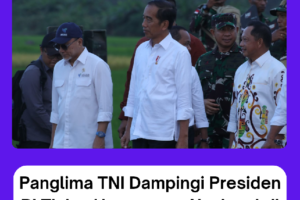 Panglima TNI Dampingi Presiden RI Tinjau Hanpangan Nasional di Merauke, Papua Selatan