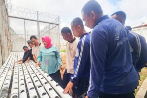 Dibalik Jeruji Besi Napi Lapas Kelas IIB Pohuwato Dilatih Bertani modern