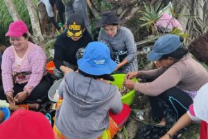 Panen Perdana di Desa Kalosi Alau: Kebersamaan Pemerintah Desa dan Masyarakat dalam Tradisi Mabulobulo