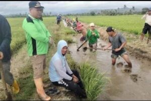 Semangat Gotong Royong Hidup Kembali: Warga Bersatu Bersihkan Saluran Air di Desa Teteaji dan Polewali