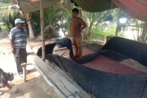 Polsek Tanah Jawa Gerebek Arena Sabung Ayam di Huta I Sigaol, Simalungun, Amankan Barang Bukti, Pelaku Melarikan Diri