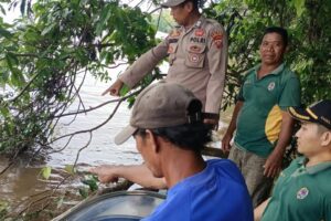 Polsek Nanga Pinoh Bersama Koramil, BPBD Serta Pemdes Kelakik Dan Semadin Lengkong Melakukan Pencarian Korban Tenggelam di Sungai Melawi