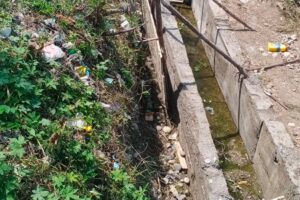 Pembangunan Tembok Penahan Dan SPAL Desa Karang Baru Lahat DD TA 2024 Diduga Asal Jadi Terindikasi Ladang Korupsi Pjs Kades