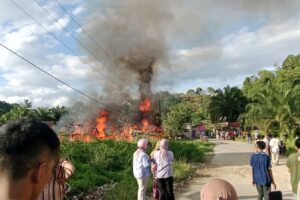 Dugaan Kebakaran Hebat Terjadi di Desa Gunung Bakti Kecamatan Sultan Daulat