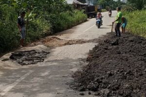 Jalan Propinsi Rusak, Warga Gotong-Royong