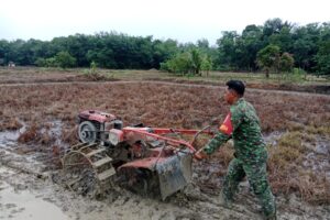 TNI dan Petani Bersatu Wujudkan Ketahanan Pangan
