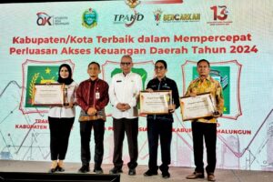 Pemkab Simalungun Terima Penghargaan TPAKD Tahun 2024