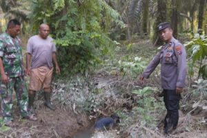 Reaksi Cepat Polsek Tanah Jawa Tangani Penemuan Mayat Pensiunan BUMN di Perkebunan Sawit