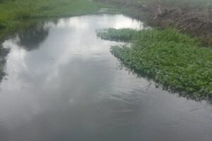 Limbah PT. Cipta Usaha Sejati : Ketika Alam dan Hidup Nelayan Hancur oleh Keserakahan Perusahaan