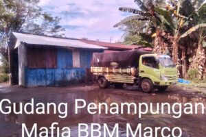 Taring Polda Sulut Lemah,Diduga Takut Tangkap Trio Mafia BBM Frenly,Ucin Dan Marco