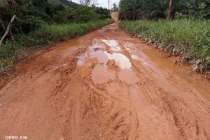 Jalan Rusak, Warga Desa Tebuah Elok Desak Dinas PUPR Bertindak