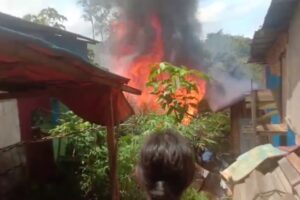Kebakaran Hebat di Desa Lubuk Batu, Satu Rumah Hangus Dilalap Api