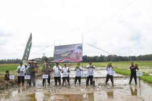Dandim 1002/HST Hadiri dan Kawal Program Tanam Padi Serentak Kementan di HST