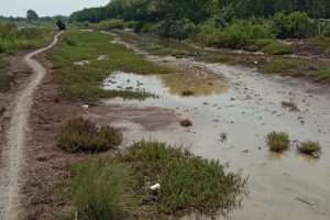 Tanah Pesisir Pantai Diduga Dikuasai Keluarga Oknum Sekmat Kasemen, Kejagung Diminta Menurunkan Tim Satgas Pertanahan