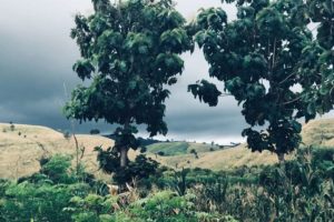Watu Toa Simpan Potensi Besi, Sumber Daya Terpendam di Perbukitan Marioriwawo