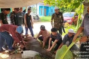 DPP Geppak dan DPW Prov. Kalsel, Peduli Berbagi Daging, Kepada Masyarakat.