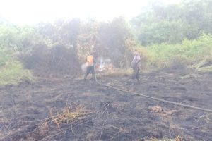 Lahan Kosong Terbakar : Misteri Di Balik Api yang Muncul Tiba-tiba