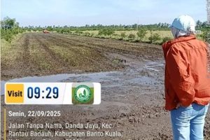 Brigade Pangan Pemuda Tani Targetkan 160 Hektar Ditanami