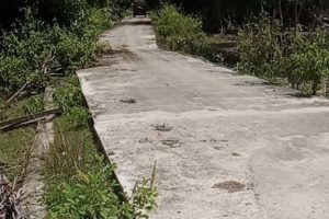 BPD dan Masyarakat Tuntut Kades Malambigu atas Kerjaan Tanggul Asal-Asalan dan Hilangnya Motor BPD