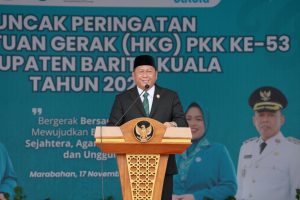 Bergerak Bersama PKK Wujudkan Batola Satu