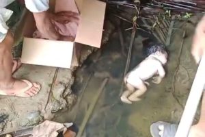 Muliady Djufri Berharap Polres Tolitoli Usut Tuntas Kasus Pembuangan Bayi Di Kecamatan Ogodeide