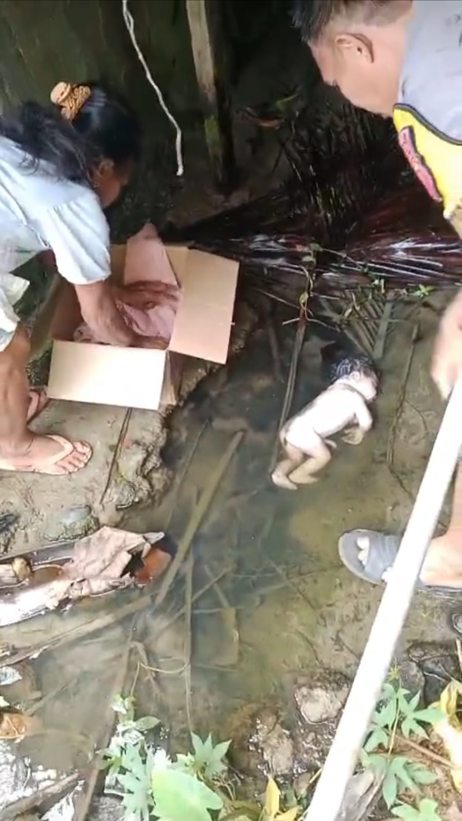 Muliady Djufri Berharap Polres Tolitoli Usut Tuntas Kasus Pembuangan Bayi Di Kecamatan Ogodeide