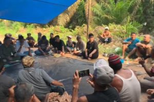 Kejelasan Lahan Sawit Poktan Bagendang Raya Semakin Tidak Jelas Dan Pemerintah Terkesan Tutup Mata. Ada Apa?