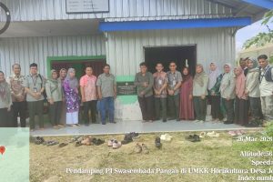 Direktur Hilirisasi Hortikultura Kementan RI Monitoring Bantuan dan Capaian LTT Padi di Batola