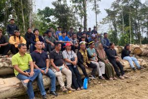 Ratusan Hektar Hutan Gundul, Sultan gunung tabur dan sultan sambaliung Minta Pengawasan Ketat.