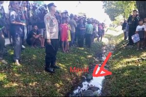 Penemuan Mayat Perempuan Berstatus Masih SD di Dalam Parit Membuat Warga Hulu Balang Gempar