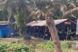 Ratusan Anggota Kelompok Tani Bagendang Tengah Harus Tetap Kompak Dan Jangan Mudah Terpancing