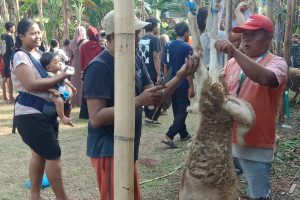 Sholat Idul Adha 1447 H di Masjid Al-Ikhlas Geneng Jombatan Berlangsung Khidmat, Sembelih 1 Sapi dan 17 Kambing