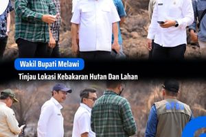 BPBD Melawi Catat 30 Kejadian Karhutla, Fokus Pemulihan Kebun dan Kesehatan Warga