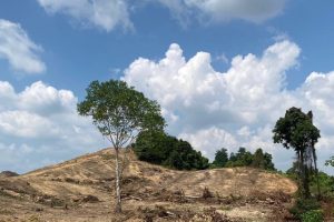 banyak perusahaan tambang berau labrak aturan amdal, lbb sorot pembiaran pihak berwenang