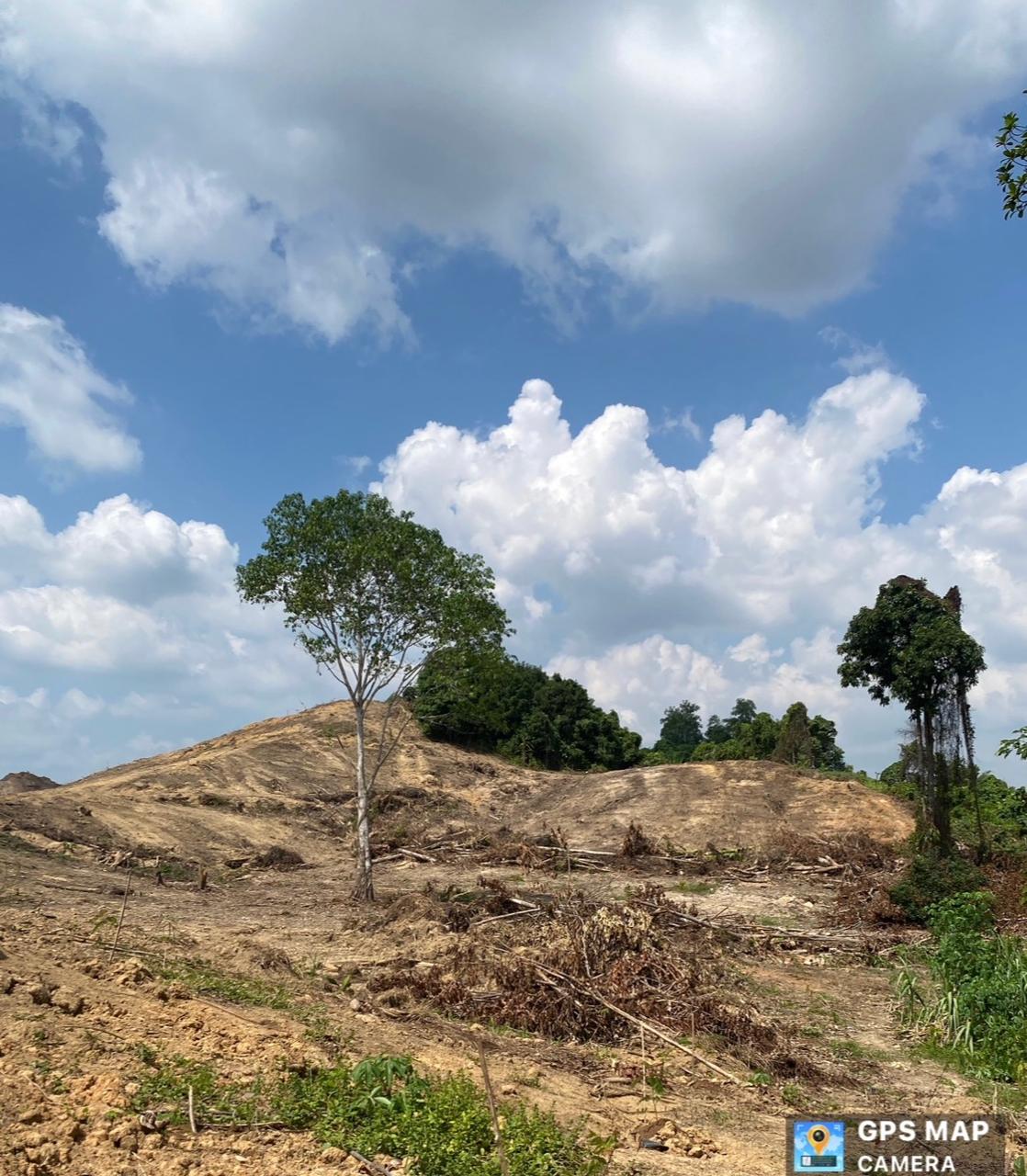 banyak perusahaan tambang berau labrak aturan amdal, lbb sorot pembiaran pihak berwenang