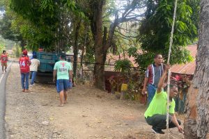 GERAK CEPAT! Kadis BPBD Tana Toraja Christian Batara Sakkung Pimpin Langsung Eksekusi Pohon Rawan Tumbang di Kecamatan Makale Utara Kelurahan Tambunan