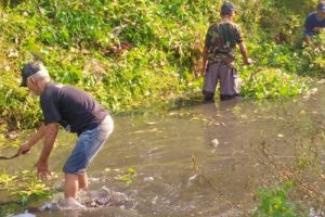Warga Lingkungan Geneng RT 05 RW 09 Jombatan Jombang Gotong Royong Bersihkan Saluran Air, Wujud Kepedulian terhadap Lingkungan